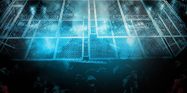 21:05: WWE Survivor Series | ProSieben Maxx | 11/30 2025