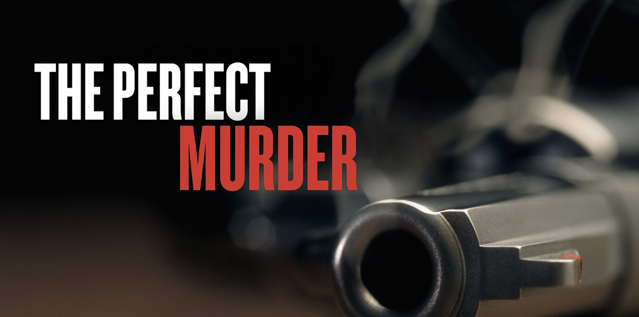 The Perfect Murder