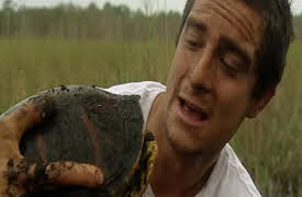 Man vs. Wild Season 1: Everglades