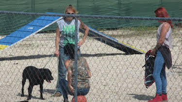 06:00: Pit Bulls & Parolees (S7 E4) (S7) | Animal Planet | 4/11 2026