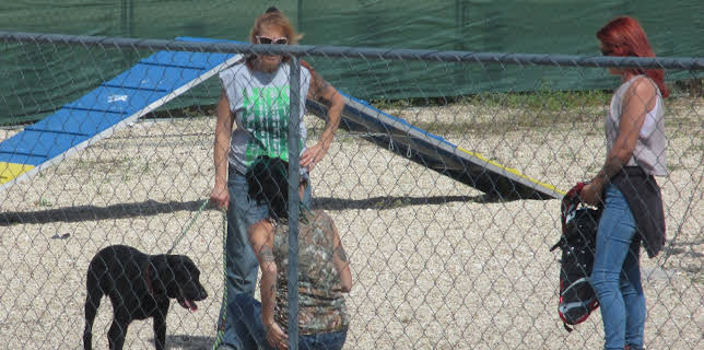 06:00: Pit Bulls & Parolees (S7 E4) (S7) | Animal Planet | 2/7 2026