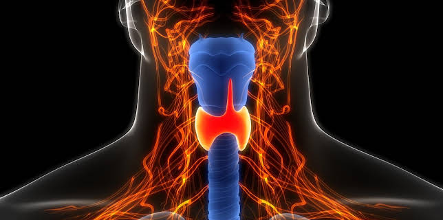 11:40: aktiv und gesund | SWR Fernsehen BW | 3/16 2026