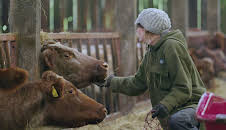 Our Farm Next Door: Amanda,...