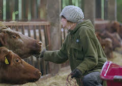 Our Farm Next Door: Amanda,...