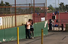 Animal Kingdom: Season 1: Dead to Me