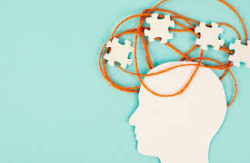 Introduction to Cognitive Science: The Puzzle of Consciousness