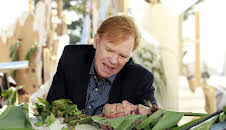 CSI: Miami