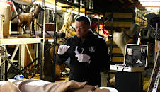 CSI: Den Tätern auf der Spur