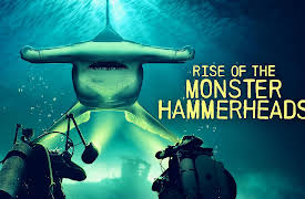 Rise of the Monster Hammerheads: Rise of the Monster Hammerheads