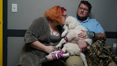 18:00: Dyrlegen i Rocky Mountain (S6 E2) (S6) | Animal Planet | 6/26 2025