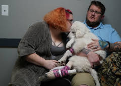 Dr. Jeff: Rocky Mountain Vet