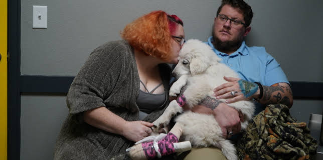 18:00: Dyrlegen i Rocky Mountain (S6 E2) (S6) | Animal Planet | 11/17 2025