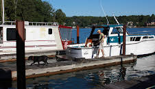 Salvage Dawgs (S2 E5)