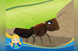 Dr. Poppy's Animal Rescue: Alice The Ant