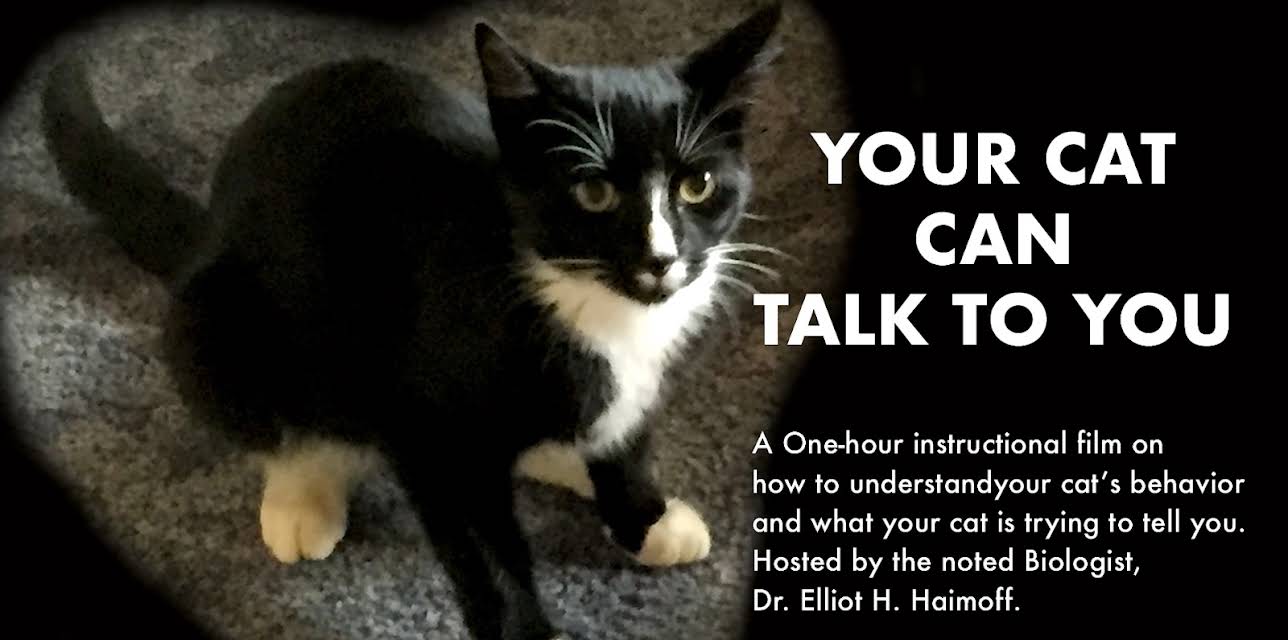 Your cat can talk (2010)