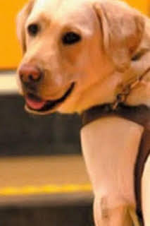 05:30: Instinto animal | La Otra | 3/30 2026