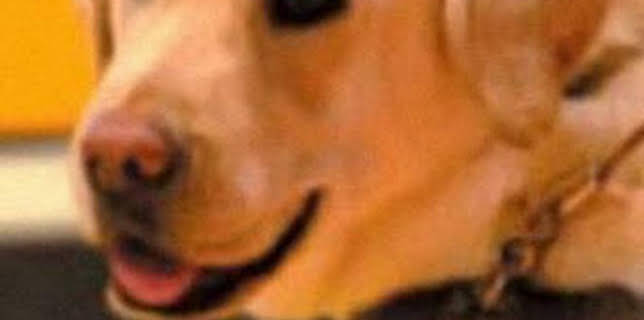 06:30: Instinto animal | La Otra | 12/11 2025