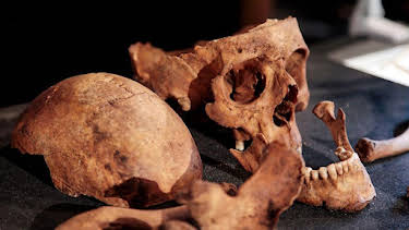 8:00 PM: Digging for Britain (S6) | BBC Two | 4/7 2026