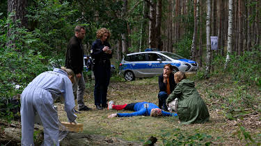 18:00: SOKO Wismar | ZDF | 8/26 2026