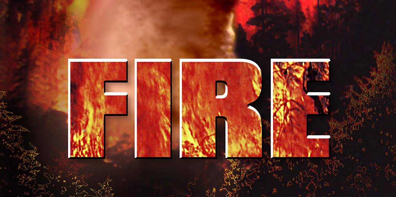 Fire (2005)