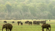 Wildes Indien (1/3)