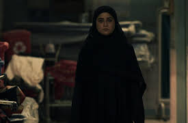 Indian Police Force – Season 1: The Truth