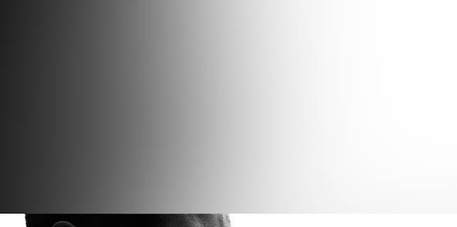 Shark Beach with Anthony Mackie