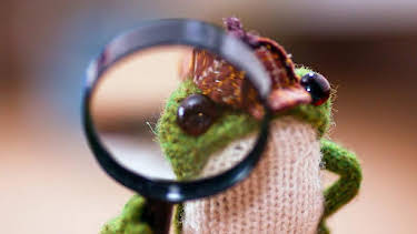 9:25 AM: Froglets (S1) | Cbeebies | 7/3 2026