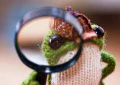 Froglets