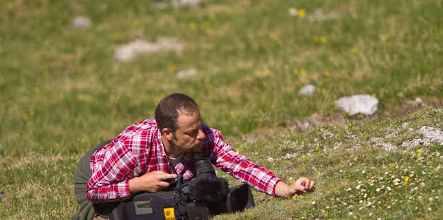 11:50: Abenteuer Wildnis | BR Fernsehen | 12/11 2025
