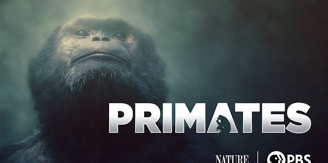 Primates