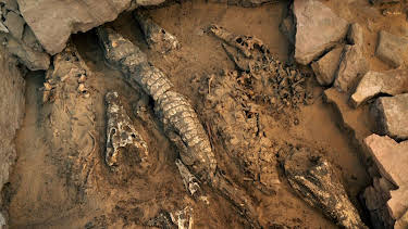 06:30: Verborgen im Sand - Geheimnisse der Vergangenheit | Kabel Eins Doku | 4/5 2026