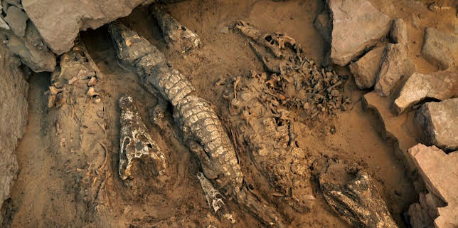 21:00: Verborgen im Sand - Geheimnisse der Vergangenheit | Kabel Eins Doku | 12/6 2025