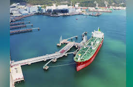 Out of Stock: Supply Chain Crisis: Fuel of Global Disaster