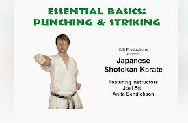Shotokan Karate: Essential Basics, Volume One: Essential Shotokan Basics: Punching and Striking
