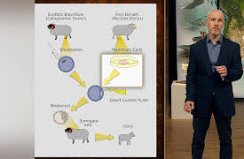 Introduction to Paleontology: Mammoths, Mastodons, and the Quest to Clone