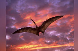 Walking with Dinosaurs Season 1: Giant of the Skies