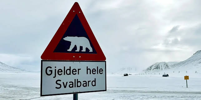 21:00: mareTV | Radio Bremen | 12/18 2025