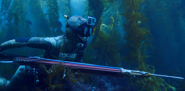 22:25: DocuMe - Speara | 3SAT | 2/23 2026