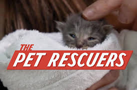 The Pet Rescuers: A Second Chance