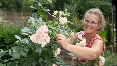 11:10: Garten und lecker (5/6) | WDR Fernsehen | 8/13 2026