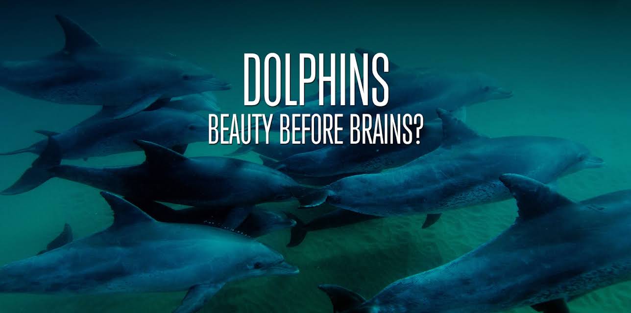 Dolphins: Beauty Before Brains? (2011)