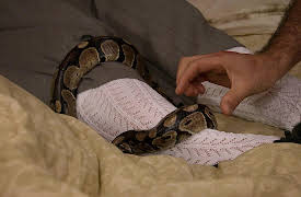 Llena de Amor season-1: Llena de Amor Capítulo 14