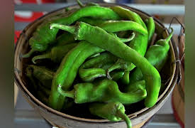 State Plate: Colorado