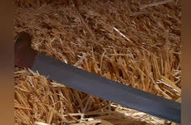 Lords of War  Season 1: Pirate's Deadly Pistol