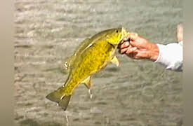 Fishin' with the Good Ol' Boys: Dolores Colorado fishing for Small Mouth Bass with Floyd Preas