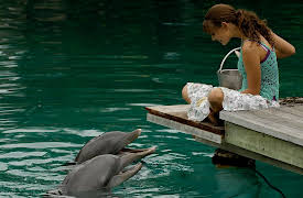 H2O: Just Add Water Season 1: Lovesick