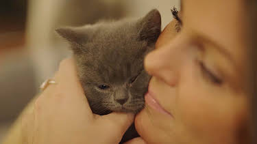 4:15 AM: Fur Babies | Channel 4 | 8/10 2026