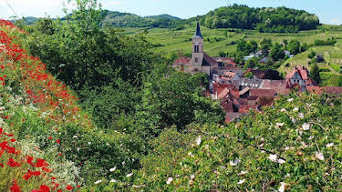 21:00: Wildes Deutschland: Kaiserstuhl | SWR Fernsehen BW | 4/26 2026