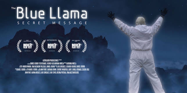 The Blue Llama Secret Message (2022)